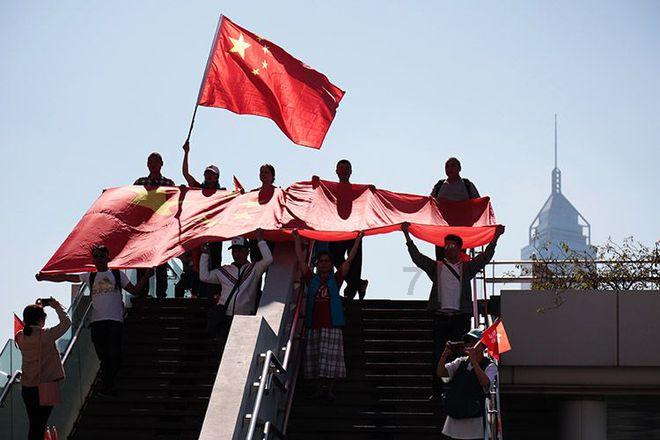 茴香为什么叶子稀少？游戏画面