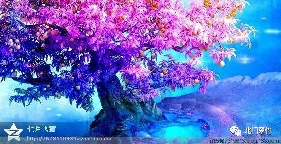月子可以吃西餐吗游戏画面